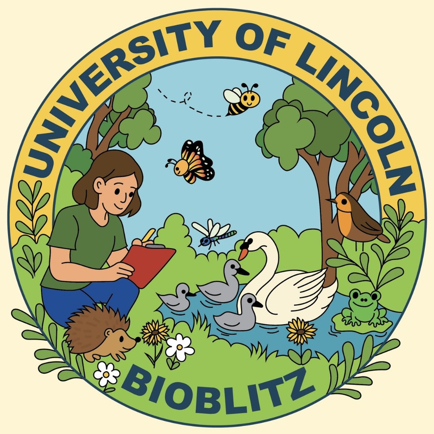 https://www.lincolnbig.co.uk/assets/images/common/341C7A9B-C9A7-446E-B741-4D92E65B279B_1_105_c.jpeg